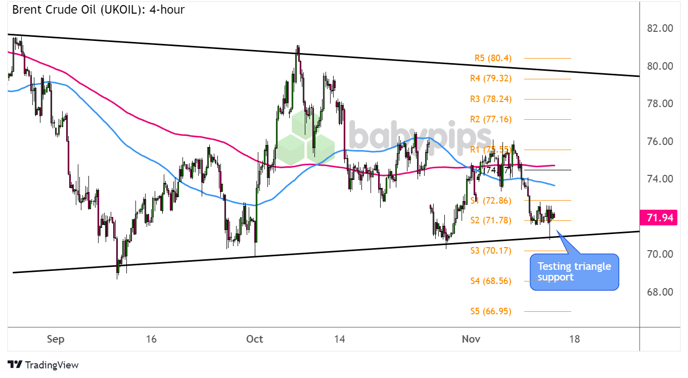 万物共生 和美永续