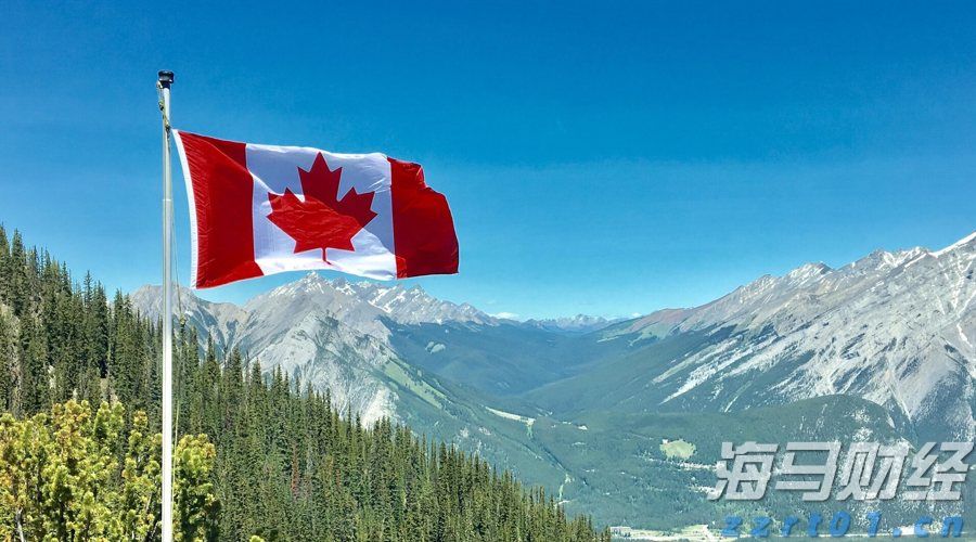 跑出经济发展加速度——访港南区委副书记、常务副区长张慧红