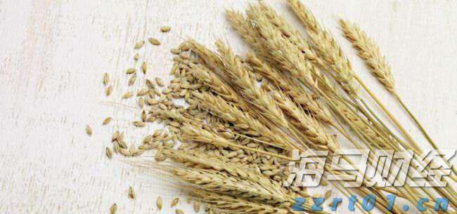 微米级“导航”实时监测脑神经 我国植入式脑机接口取得新突破