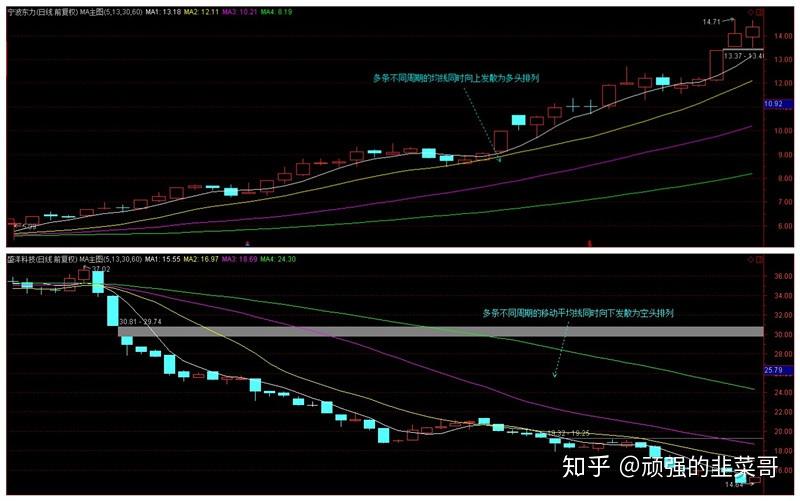 一碗太平面 久久重阳情