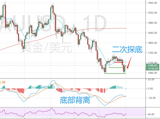 浦城匡山：绿为底色，融出诗情画意